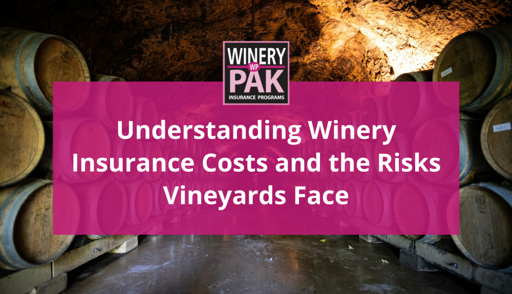 understanding winery insurance costs and risks the vineyards face