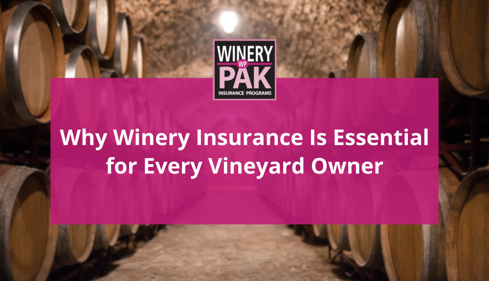 cover image for Why Winery Insurance is Essential for Vineyard Owners