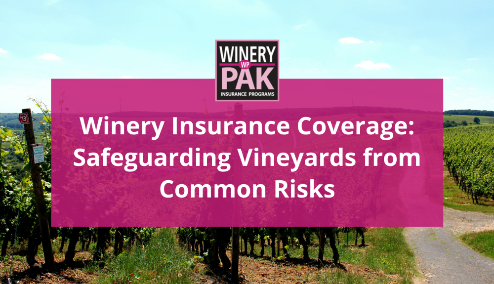 cover for Winery Insurance Coverage
