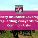 cover for Winery Insurance Coverage