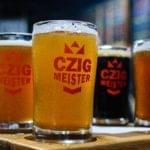 Pint of golden craft beer served on a brewery bar counter