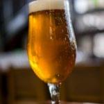Tall glass of golden craft beer on a bar counter