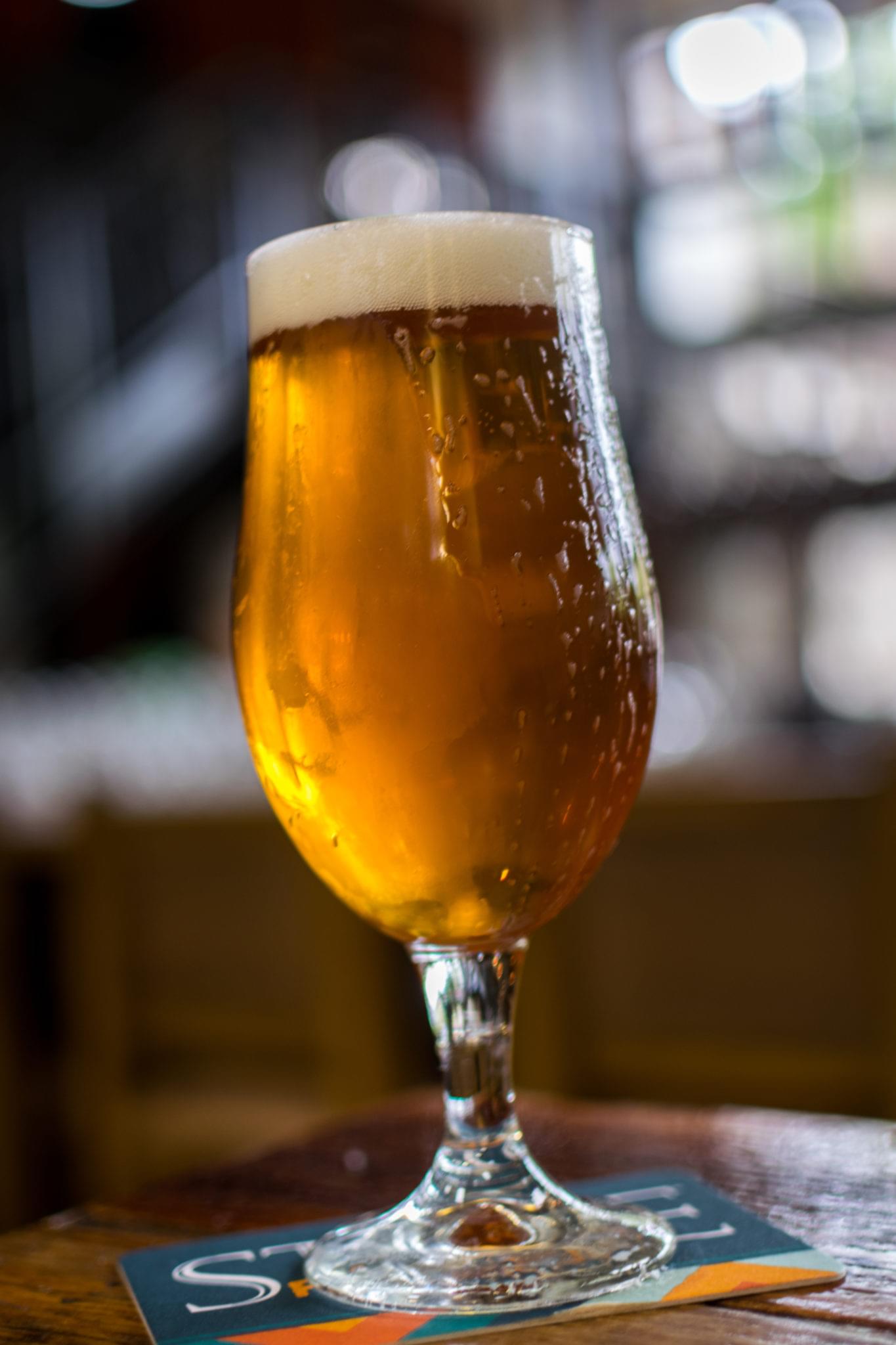 Tall glass of golden craft beer on a bar counter