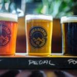 Flight of assorted craft beers served in tasting glasses