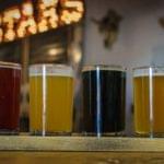 Assorted beer glasses filled with different styles of craft beer