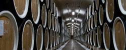 wine barrels